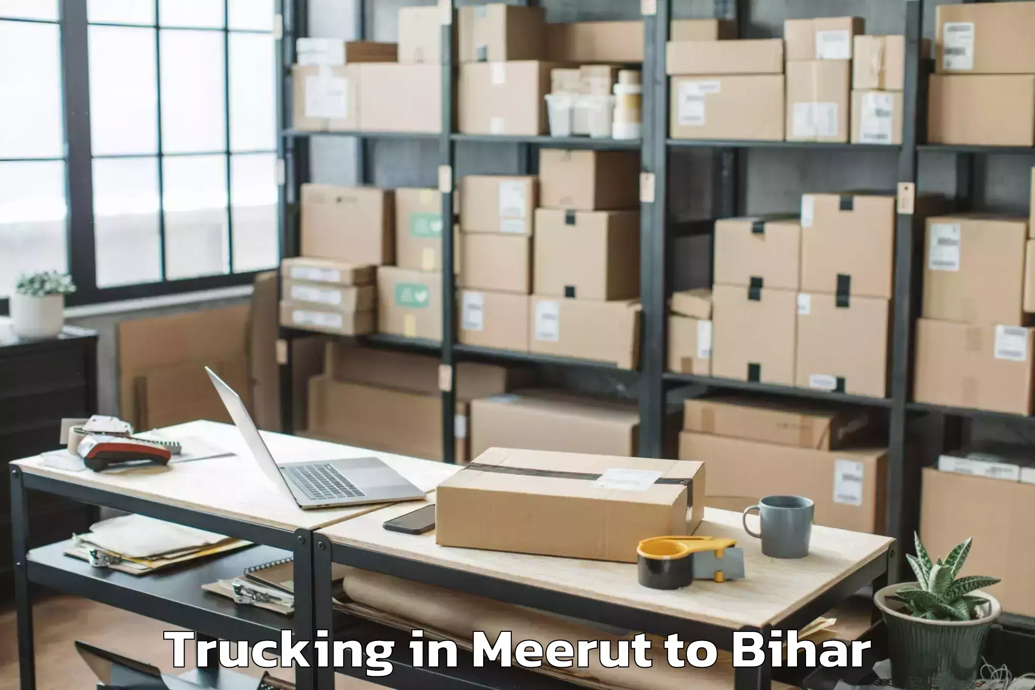 Top Meerut to Ghailarh Trucking Available